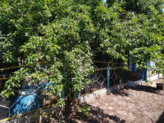 Продается дом в Приднестровье - Изображение 3
