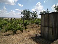 Продается дом в Приднестровье - Изображение 6
