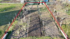 DE VÂNZARE TEREN AGRICOL — 6 ARI
